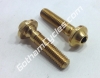 Ducati Left & Right Special Mirror Screws: 848-1198 82919451A and 82919461A