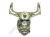 Ducati Magnesium Gold Headlight Bucket & Mirror Struts Lights: 749/999