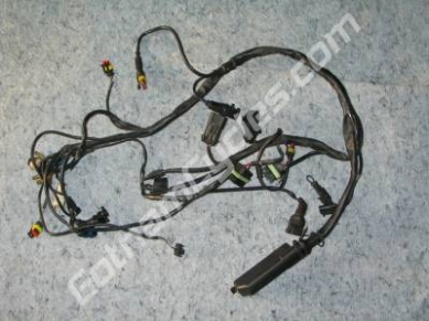 Ducati Rear Wiring Harness Biposto 1.6 ECU: 748-996 51011111B