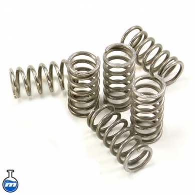 Ducati Clutch Stainless Steel Spring Kit GC253