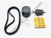Ducati Full Service Kit - Timing Belts, Spark Plugs, Fuel/Oil Filters: Multistrada 1000/1100 79915061A